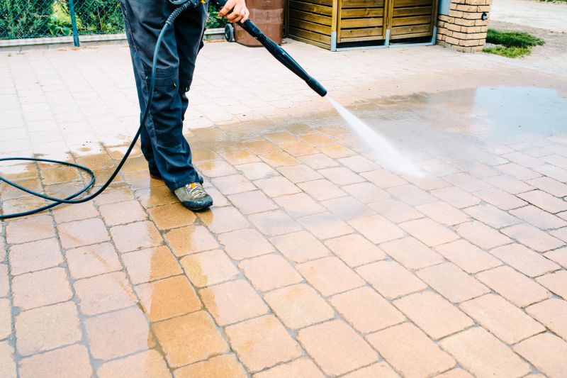 Paver Restoration