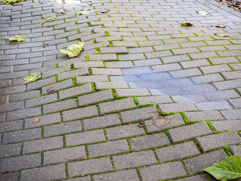 Cost of Paver Restoration — Cost of Paver Restoration